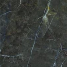 Gạch Trường Thịnh MARMI PLUS BJ88067LEV-R